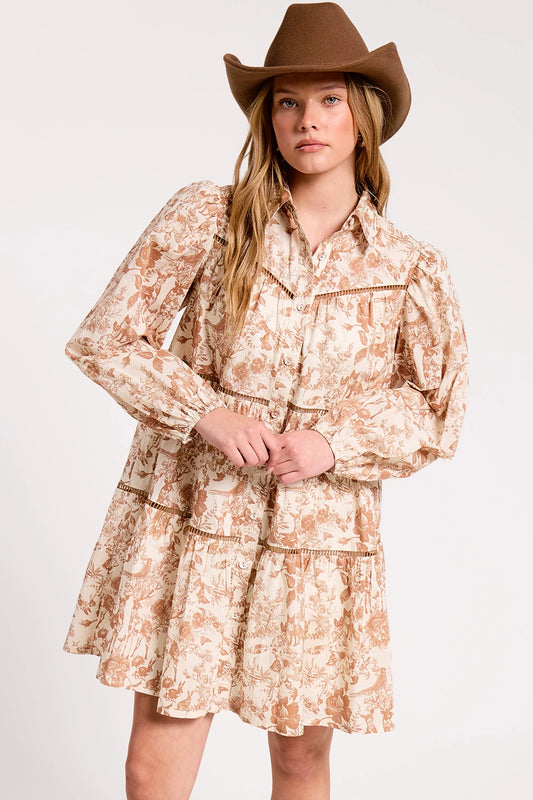 Toile Button-Down Shirt Mini Dress