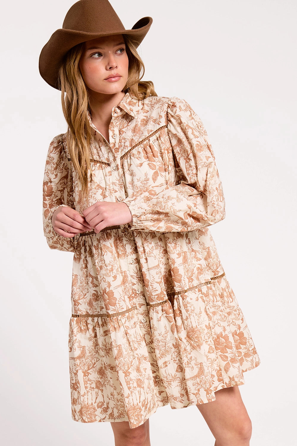 Toile Button-Down Shirt Mini Dress